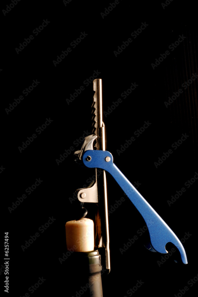 Fototapeta premium cavatappi