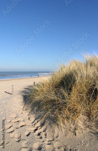 Fototapeta Naklejka Na Ścianę i Meble -  Path to the beach across the dunes in Holland