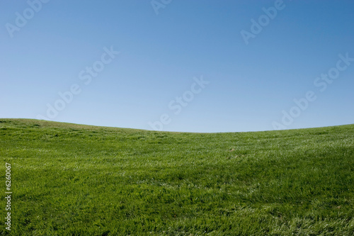 Green grass hills and blue sky © MaxFX
