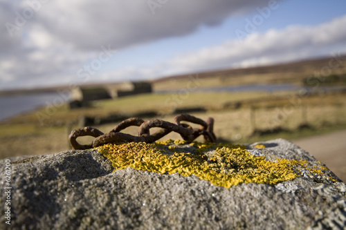 Yellow litchen on stone wall, subtle contrast to the rocks. photo