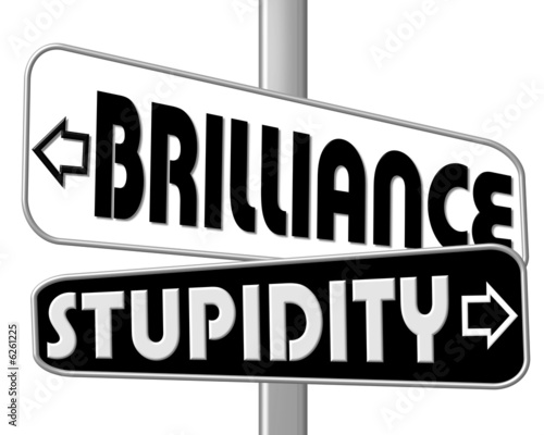 Foto brilliance - stupidity