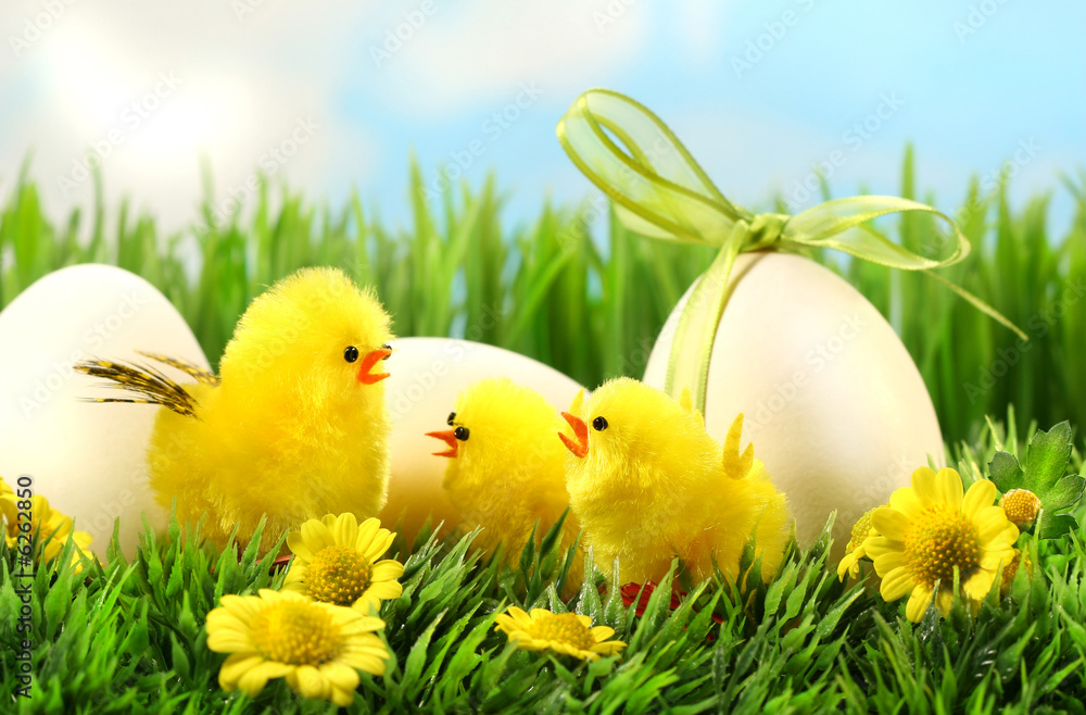 Little yellow easter chicks in the tall grass with eggs