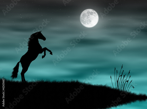Cavallo nella luna