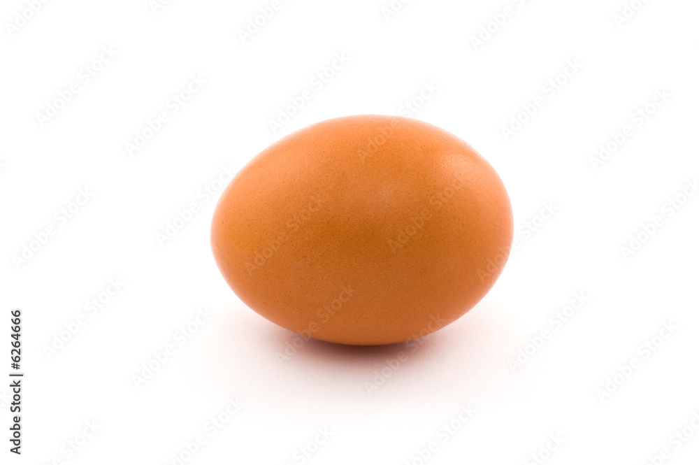 Egg isolated on white
