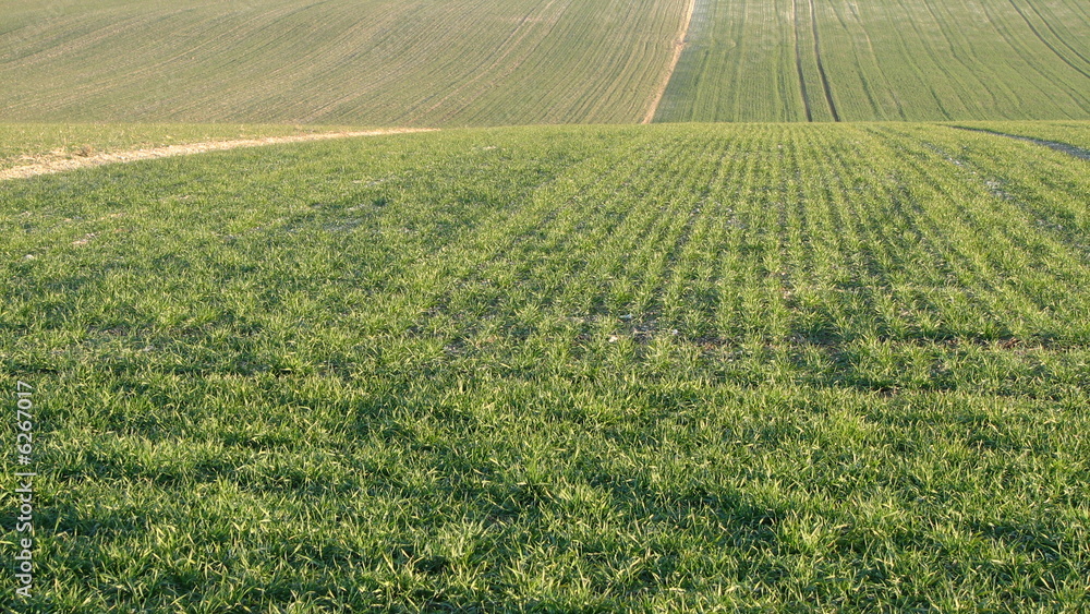 Perspectives agricoles Perspectives agricoles
