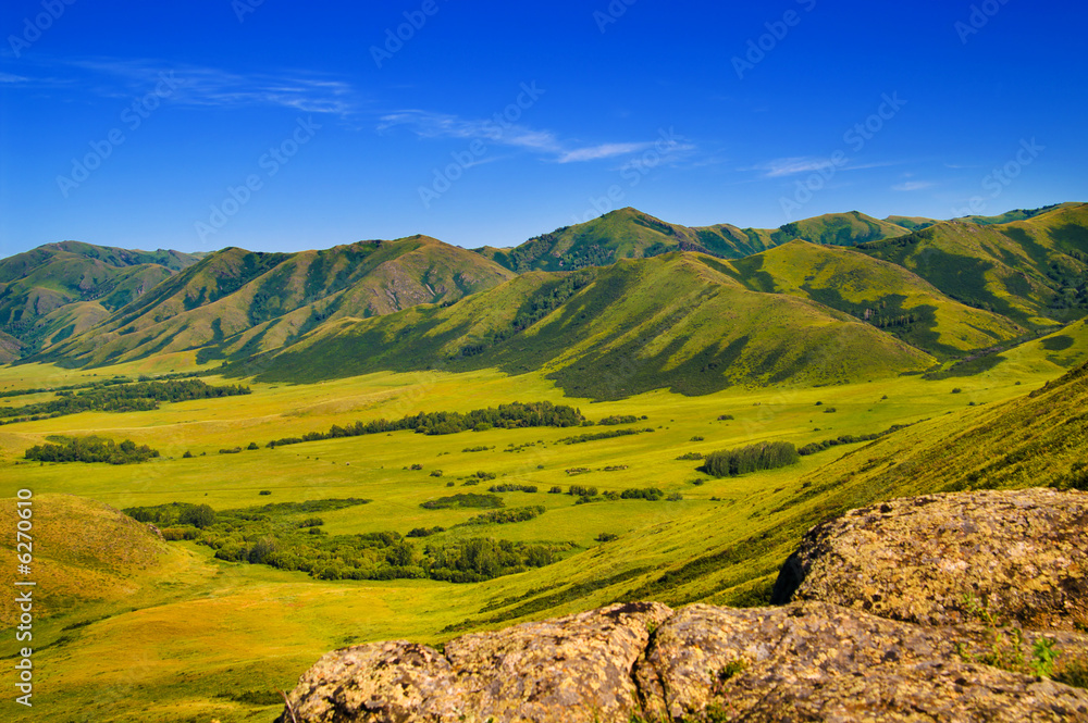 Fototapeta premium mountains and medow landscape