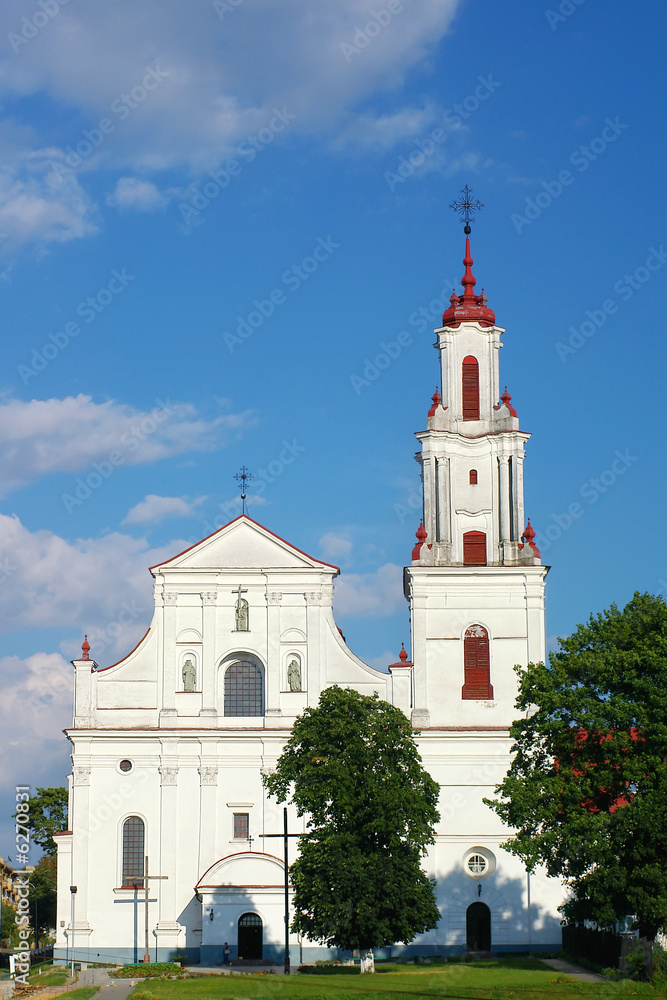 Fototapeta premium catholic cathedral, frontal view