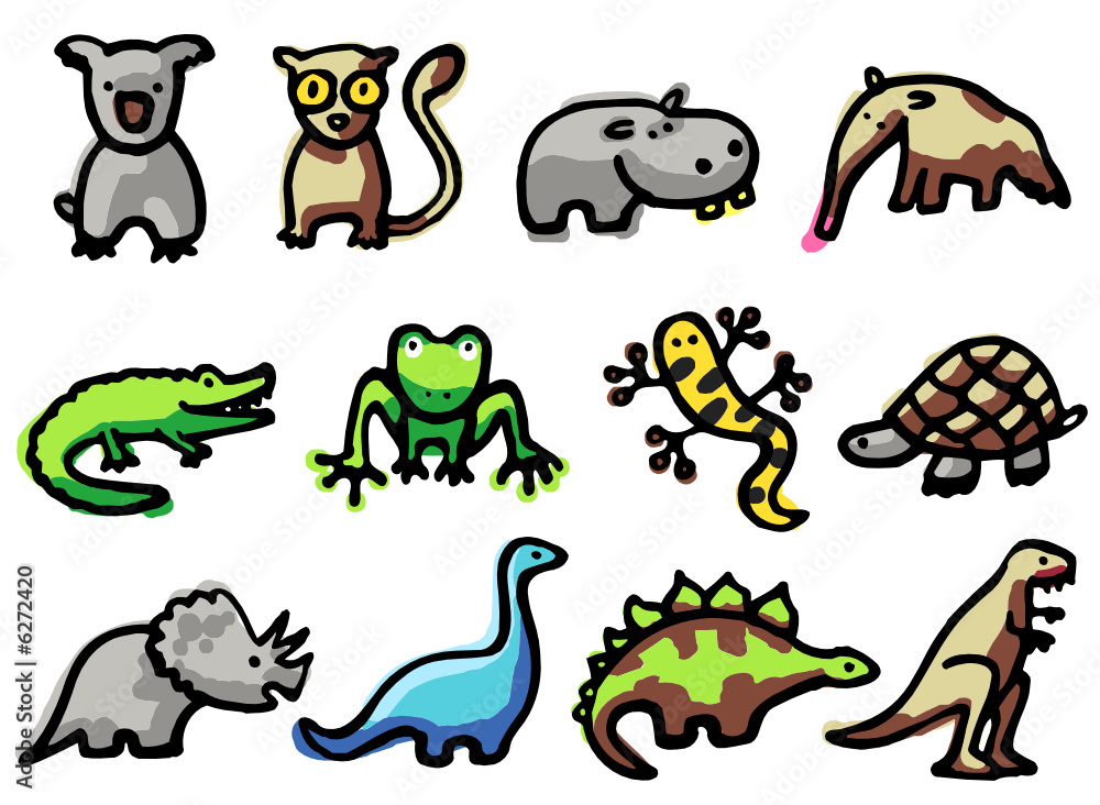 Obraz premium animaux - exotiques et reptiles