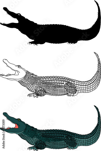 crocodile vector file