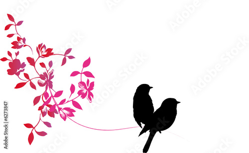 couple d'oiseaux-amour et fidélité