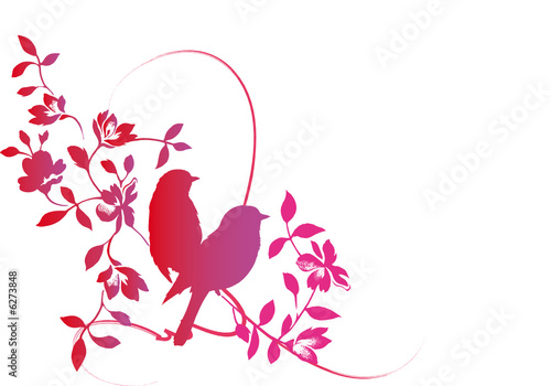 couple d'oiseaux sur une branche - tendresse et fidélité