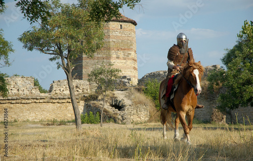 Medieval European knight in the castle