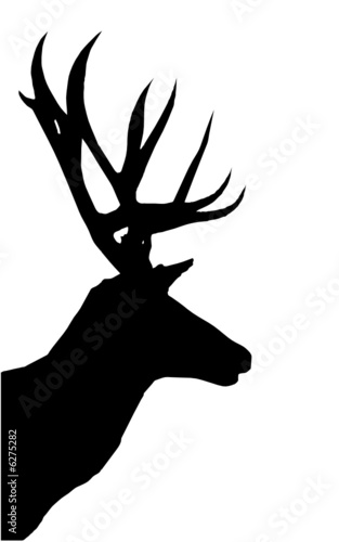 veado