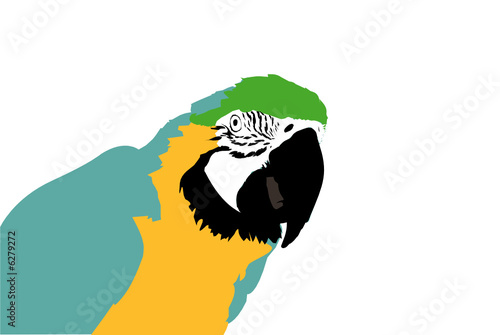 perroquet ara illustration