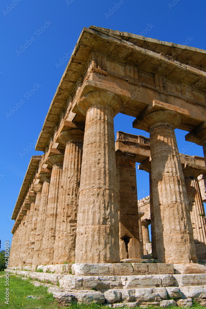 Fototapeta premium Paestum - Templi #7