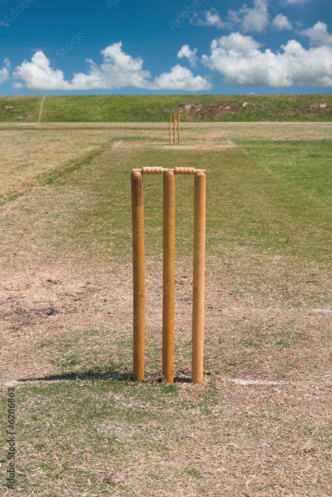 Fototapeta premium full length grass cricket pitch in summer wickets and bails