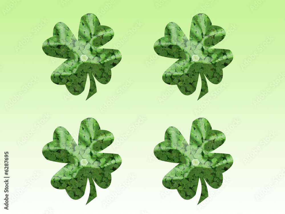 clover clover