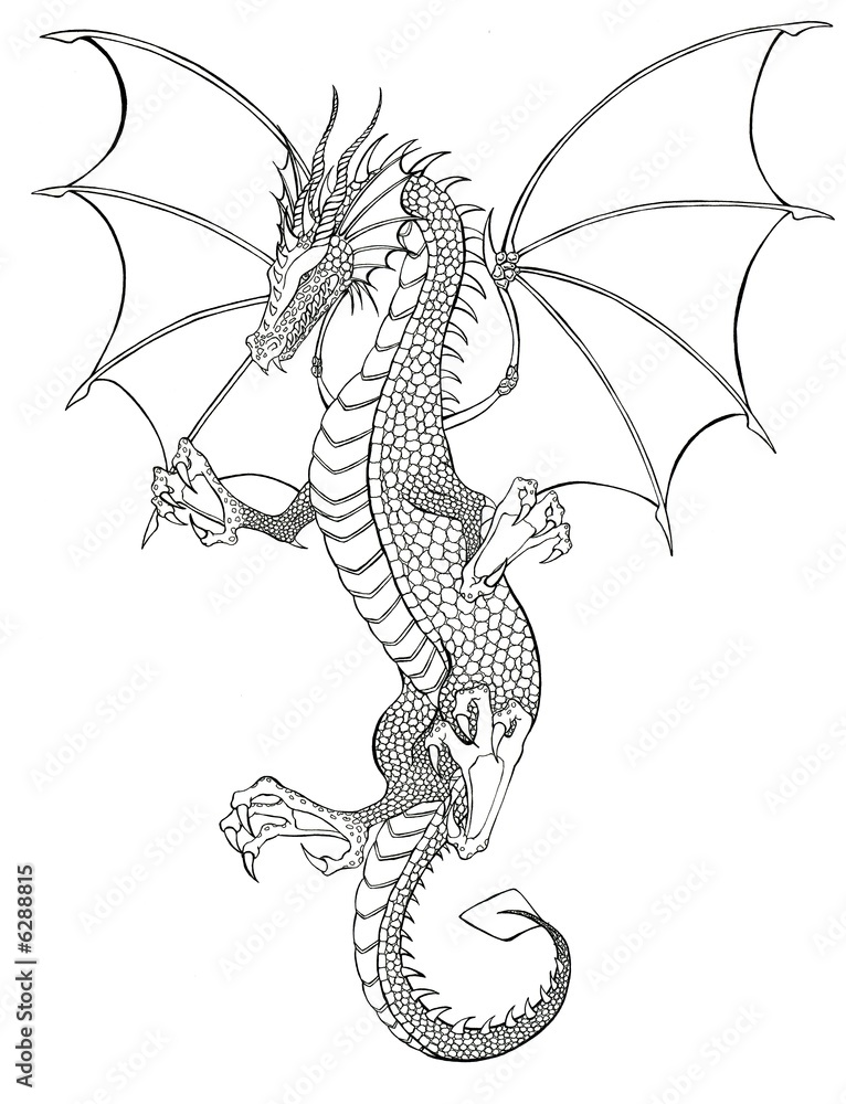 Naklejka premium Drache Tattoo schwarz-weiss