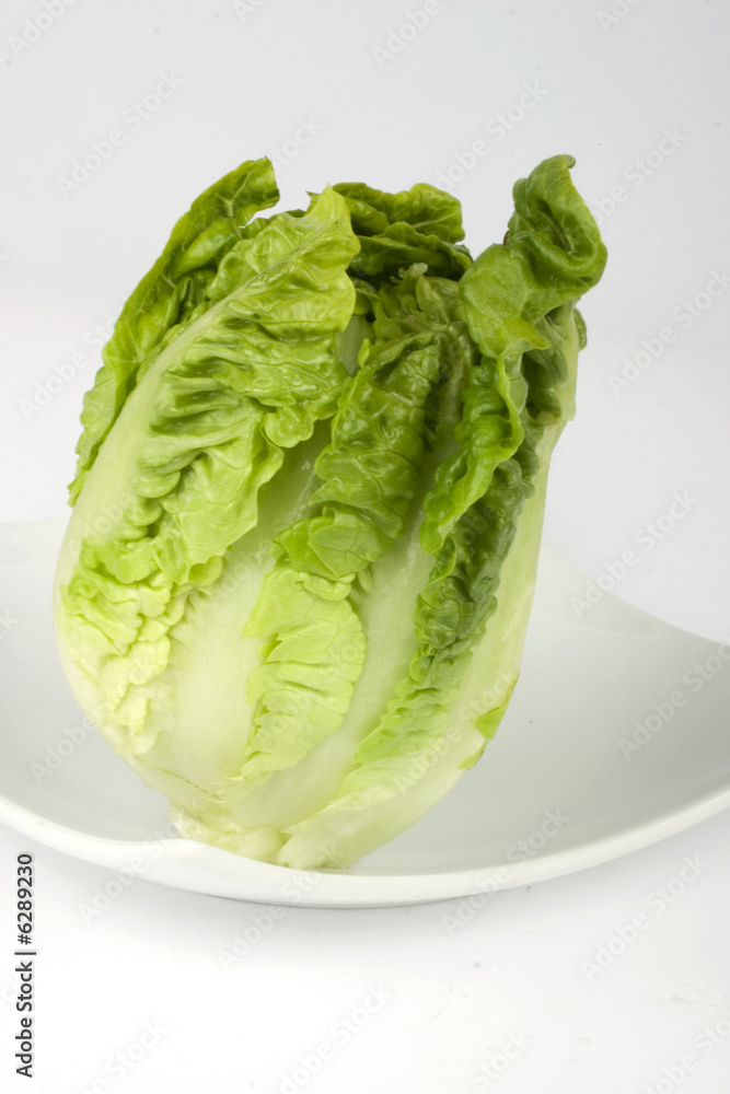 Romana Salat - Salad Romana Salat - Salad