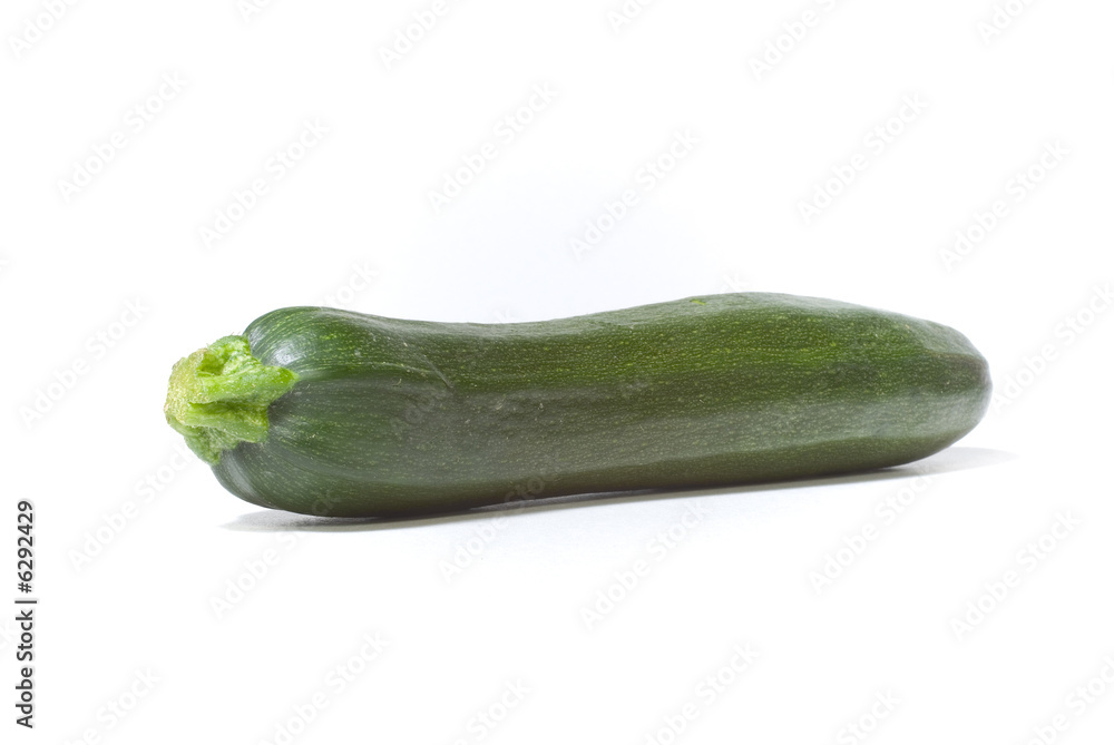 courgette Cucurbita pepo