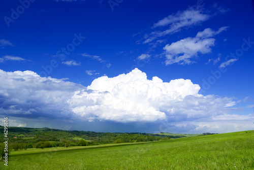 Photo of meadow in sunny day.