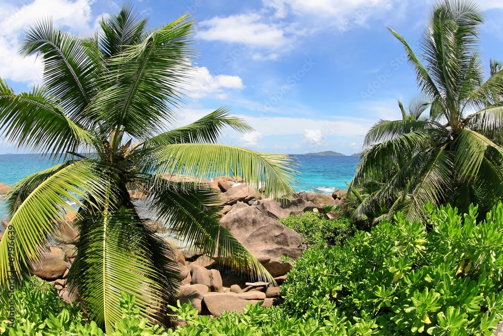 Fototapeta premium Seychelles
