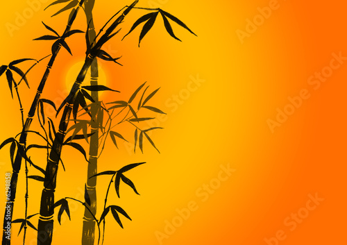 Branches of a bamboo on a background of light of the sun