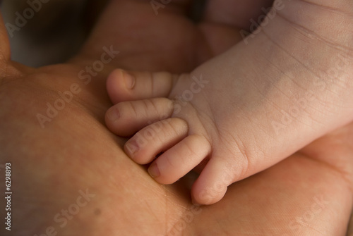 Child foot on adult palm.