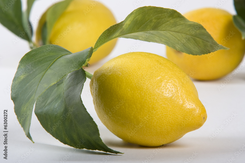 Les Agrumes : citron