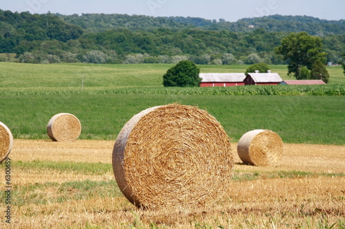 Hay Bales