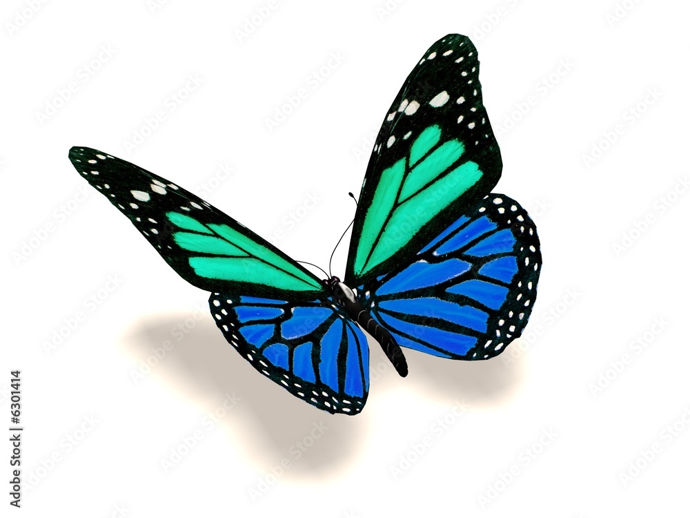 3D turquoise and blue butterfly