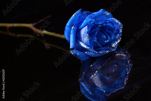 the.rose sparkling on the.black background