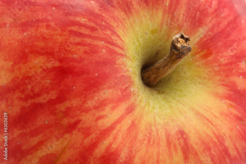 Apple. macro