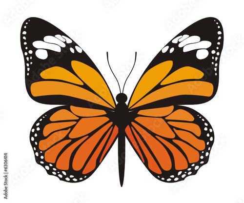 Vector image of orange butterfly