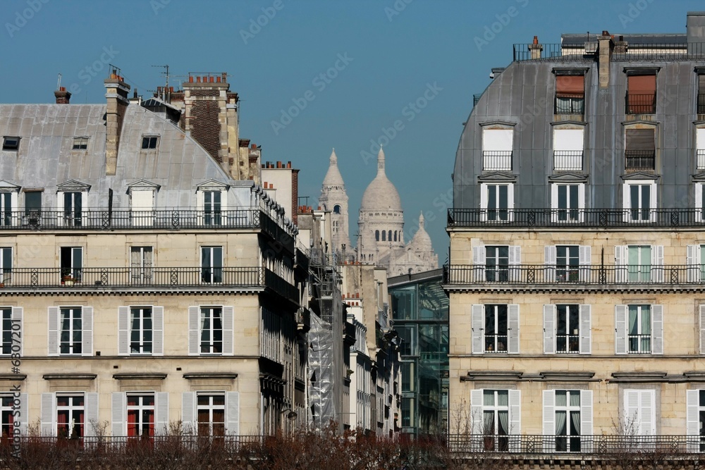 Fototapeta premium The 