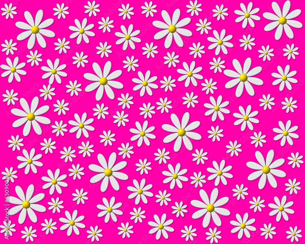 margeriten hintergrund pink margeriten hintergrund pink