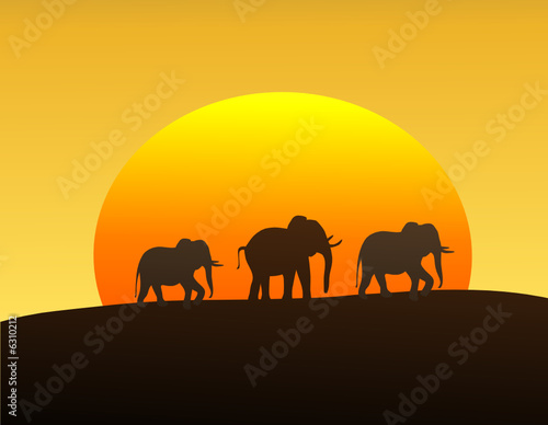 Elephants