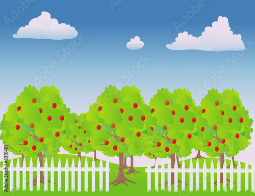 vector illustration of an apple orchard