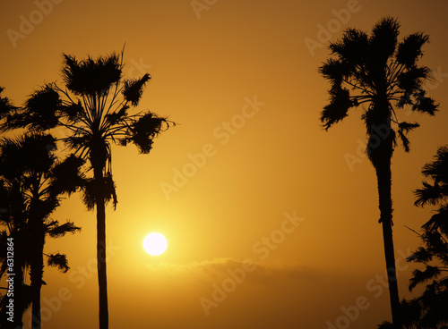 Sun setting showing palmtrees as a silhouette