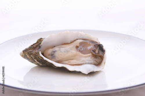 Single Oyster in its shell on a plate
