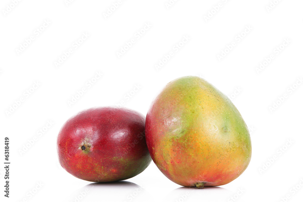 mango mango