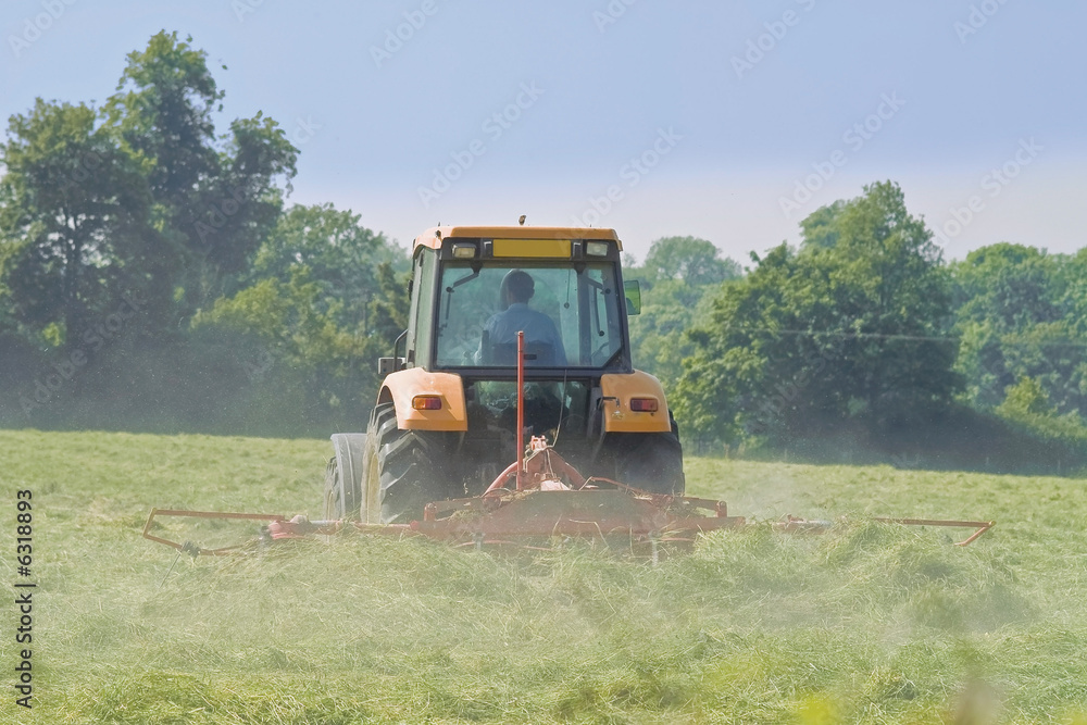 Fototapeta premium tractor cutting hay in spring