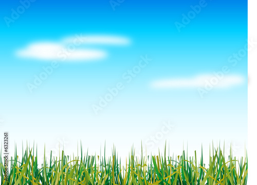 Natural grass and blue sky