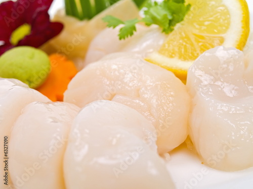 jakobsmuschel sashimi