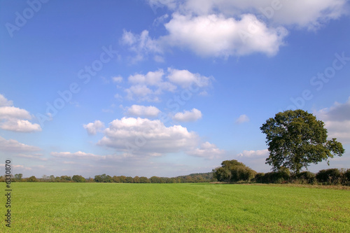 Green field landscape under blue cloudy sky on a sunny day.