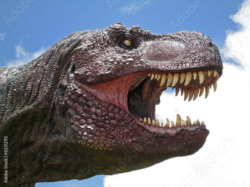 Fototapeta Naklejka Na Ścianę i Meble -  Tyrannasaurus