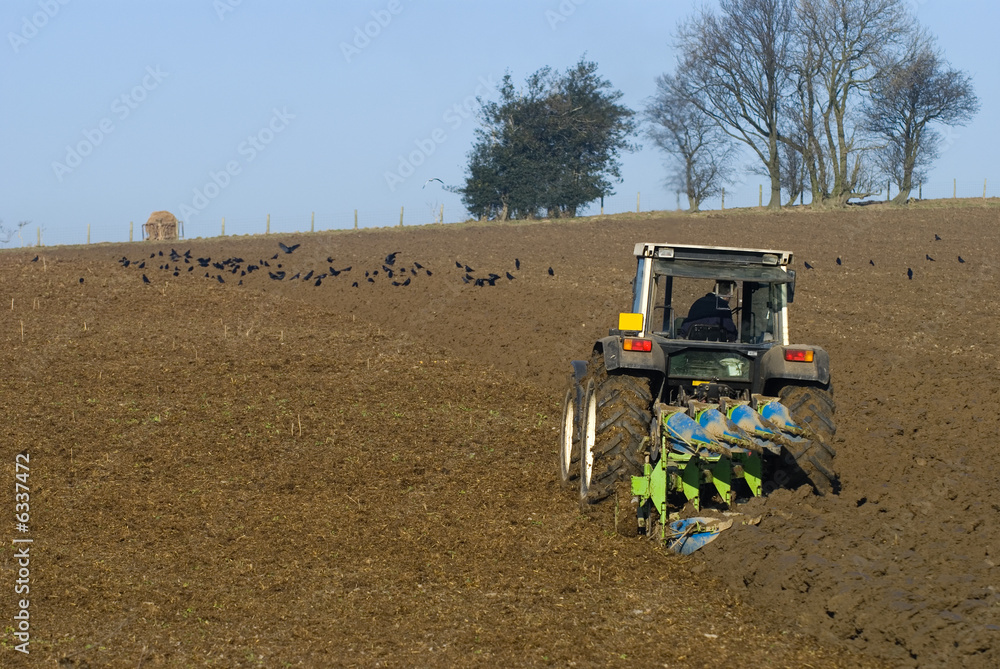 Obraz premium Tractor ploughing winter field with crows