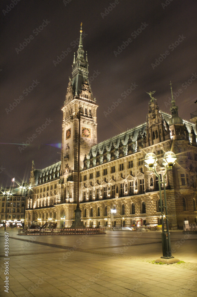 Naklejka premium Rathaus Hamburg