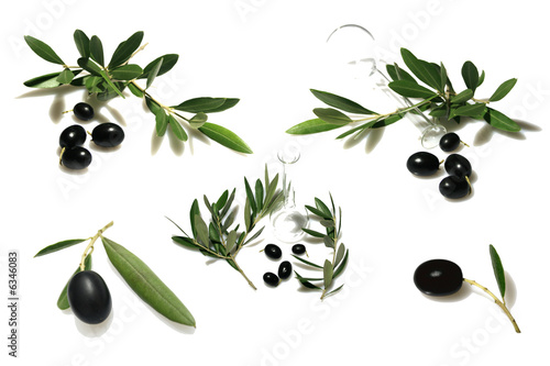 rami olivo photo