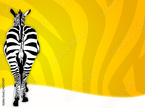zebra 02